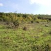 Land for sale near Balchik